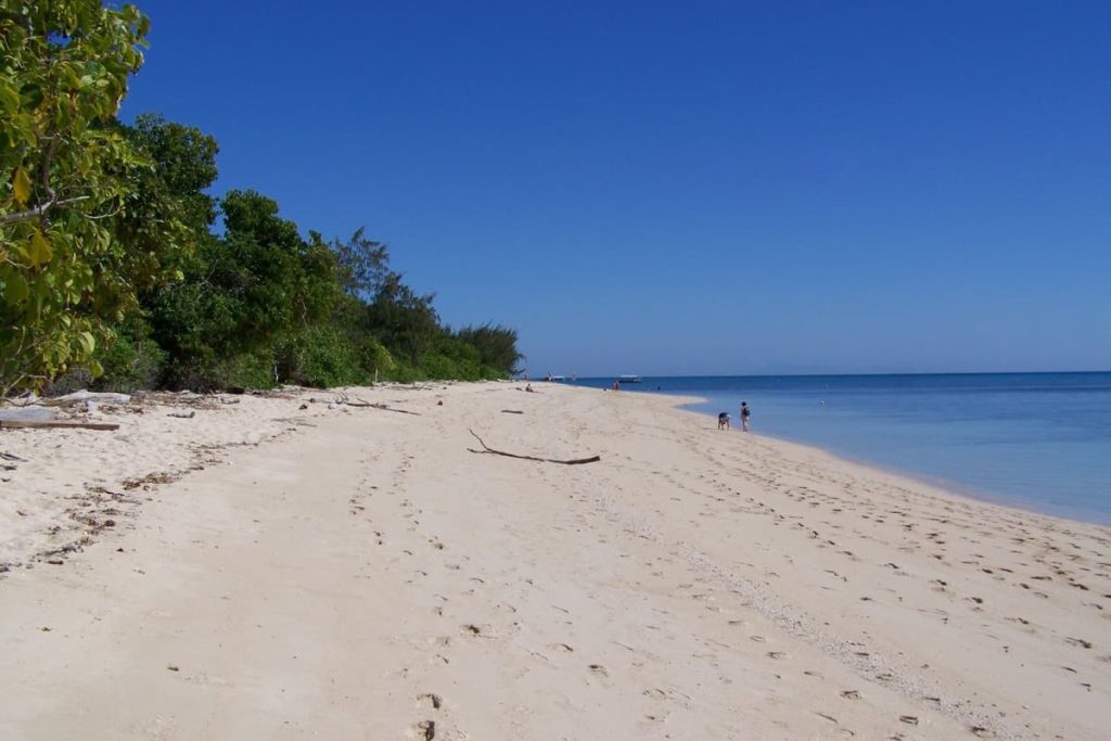 A quiet tropical beach on Green Island with white sand, calm blue water, and shady trees—an idyllic detour on tropical road trips in Australia.