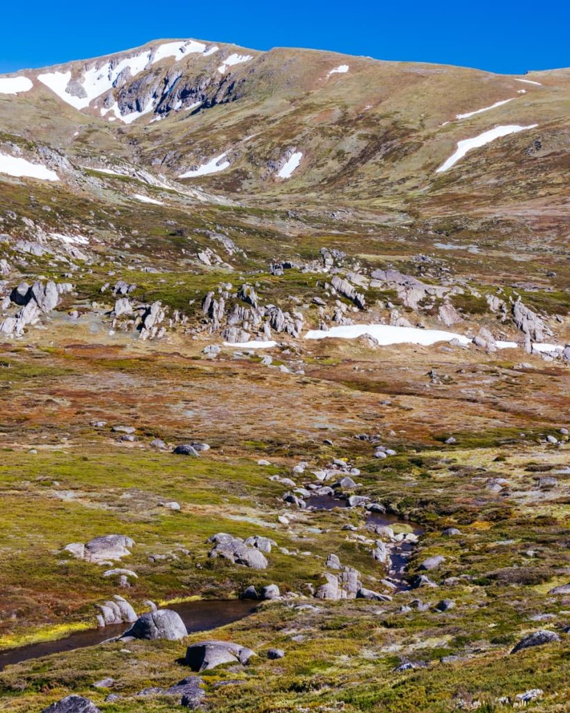 View of the Snowy River winding through the alpine terrain of Kosciuszko National Park, a high-country must on adventurous road trips in Australia.