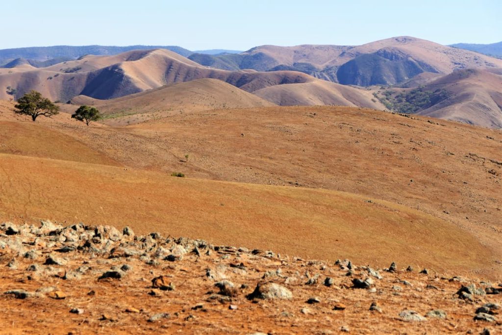 Rolling ochre hills and scattered trees along the Bridle Track in South Australia’s Flinders Ranges, a scenic inland highlight for road trips in Australia.
