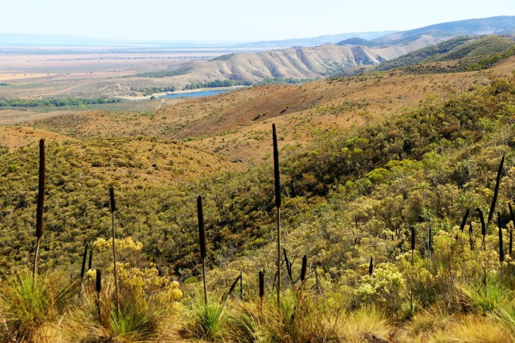 Panoramic view of Beroota Reservoir and surrounding bushland from the Bridle Trail in South Australia, offering rugged terrain and natural beauty on road trips in Australia.