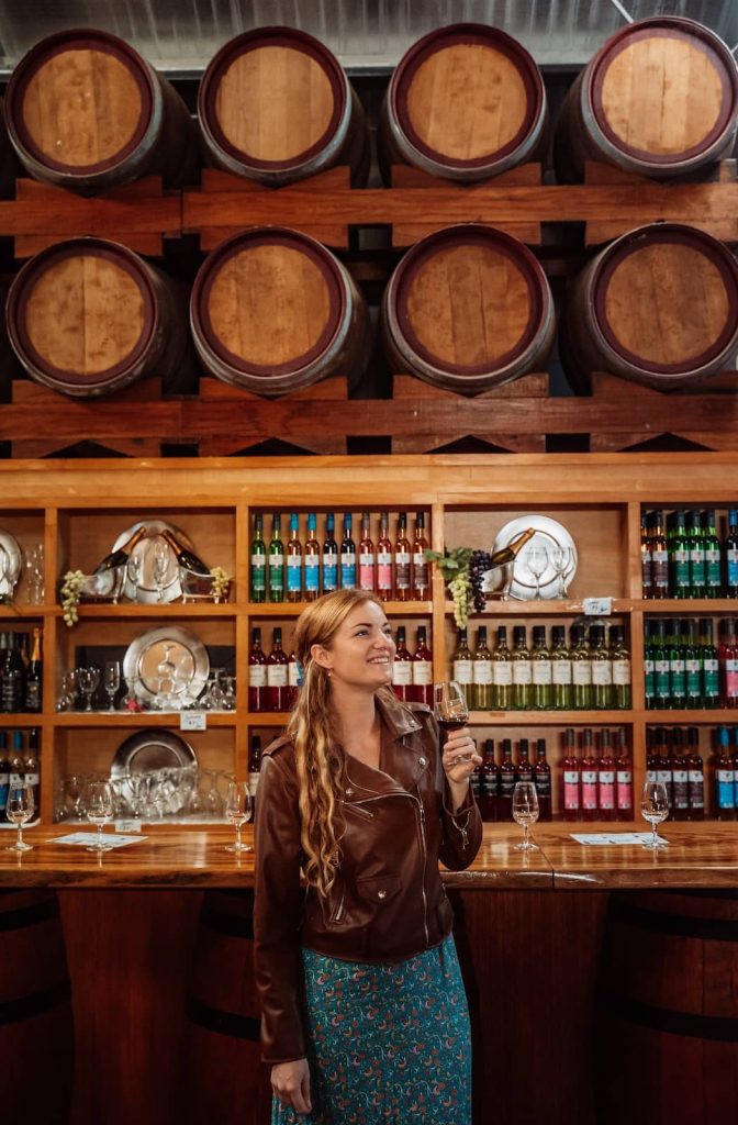 A woman in a brown leather jacket and blue floral skirt holds a glass of wine inside a Mount Tamborine winery. Behind her, wooden barrels rest on racks, and colorful bottles of wine line the shelves. The tasting area is set with wine glasses and decorative plates.
