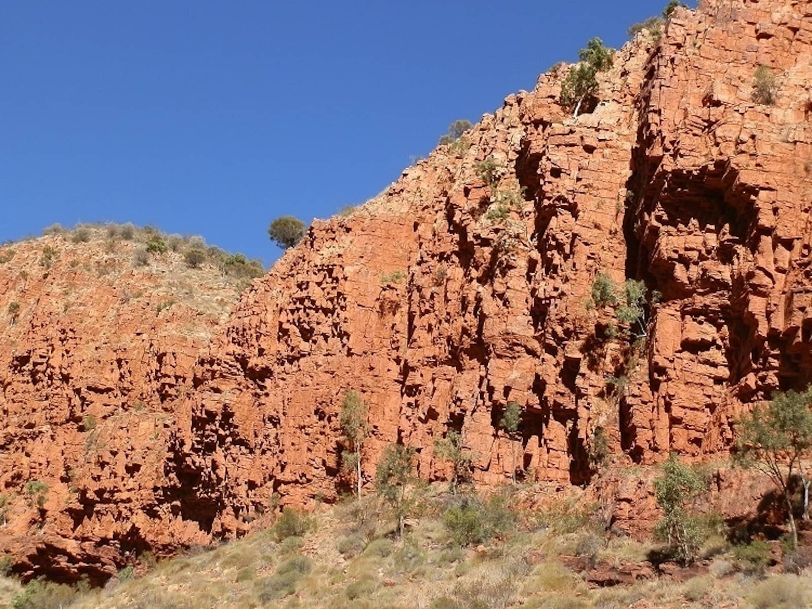 Bright red rock walls of Ormiston Gorge rise steeply under a clear blue sky, with sparse desert vegetation and small trees dotting the rugged cliffs and canyon floor.