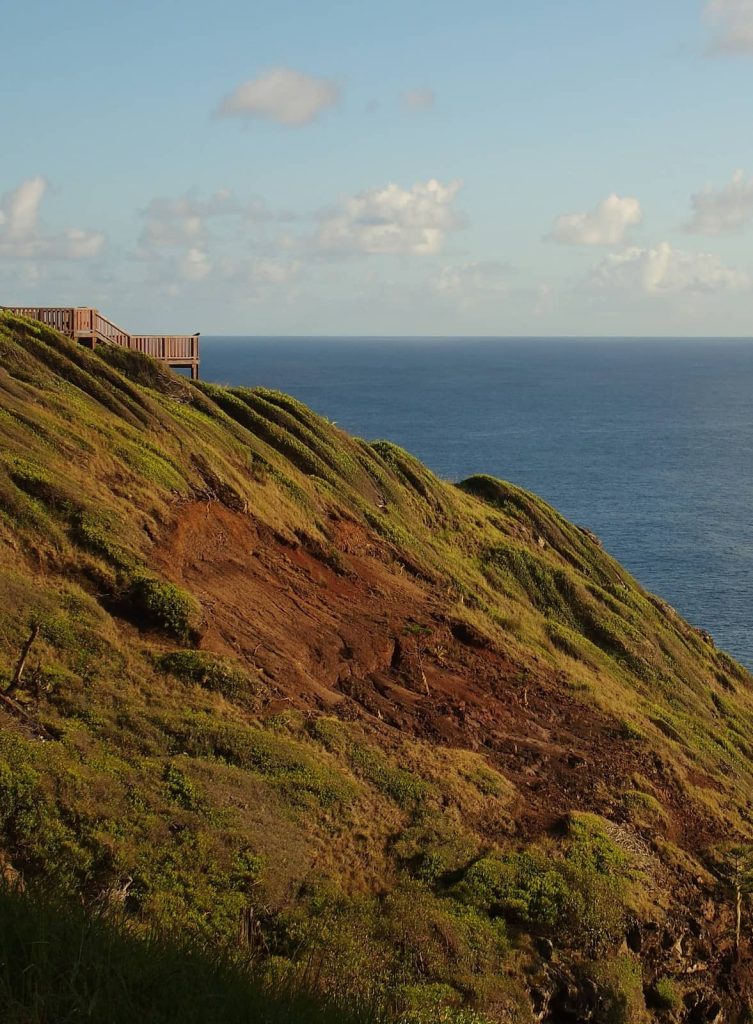 Late afternoon view of a wooden lookout perched on a grassy, red-earth cliffside at Captain Cook Lookout on Norfolk Island, overlooking the expansive, calm ocean under a sky dotted with clouds.