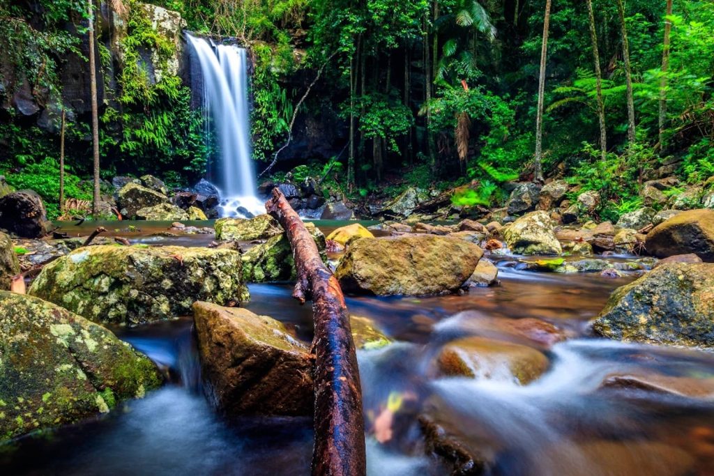 A picturesque view of Curtis Falls cascading into a clear, rocky stream surrounded by lush rainforest in Tamborine National Park. A fallen tree trunk lies partially submerged in the flowing water, adding depth to the scene. The vibrant green foliage and moss-covered rocks create a tranquil and untouched natural setting.