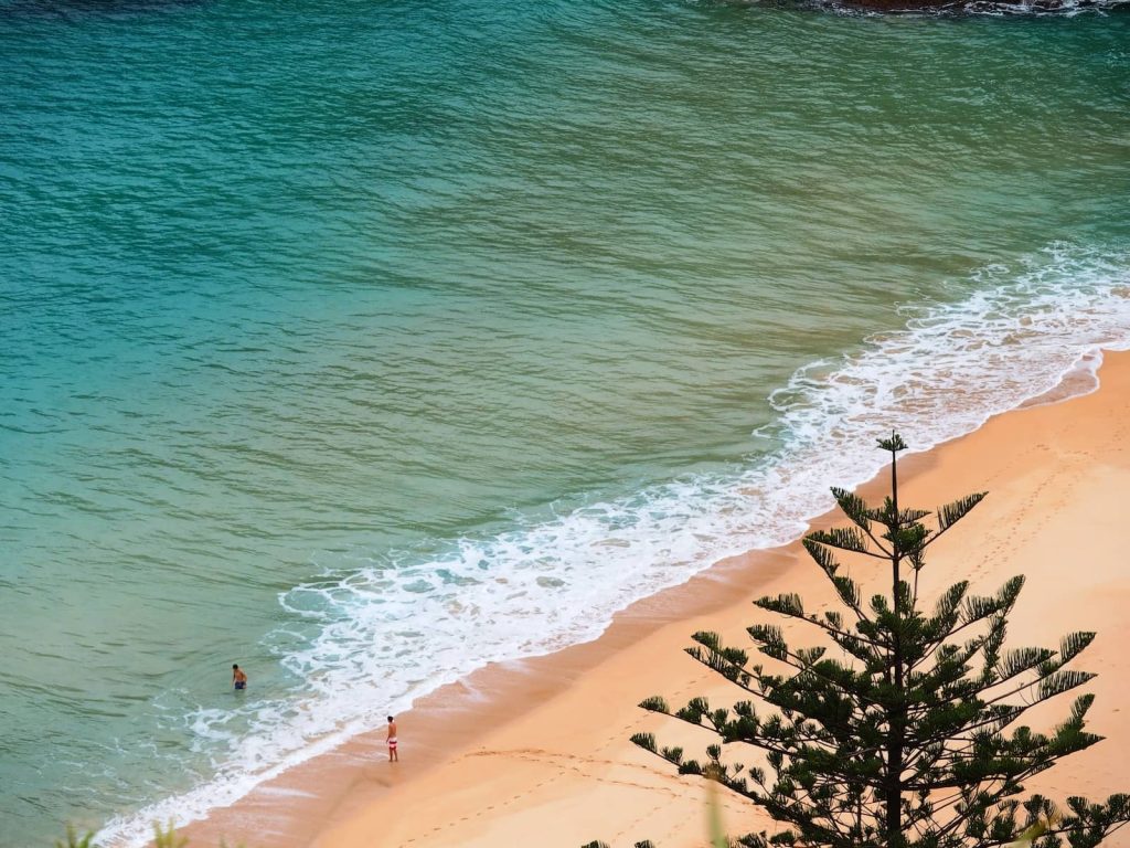 A peaceful beach scene at Anson Bay on Norfolk Island, with two swimmers enjoying the clear turquoise water near the shoreline. Golden sand curves along the coast, and a Norfolk pine frames the image in the foreground.