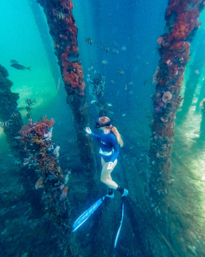 A snorkeller swims among colourful coral and striped fish under Busselton Jetty, a popular underwater stop on the Perth to Bremer Bay road trip.