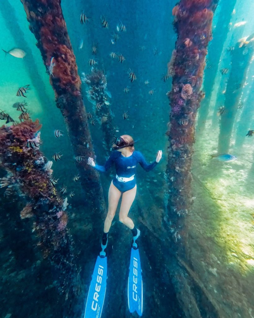 Woman snorkelling under Busselton Jetty surrounded by striped fish and marine growth on the pylons, a highlight of the Perth to Margaret River road trip. Clear water reveals vivid underwater life.