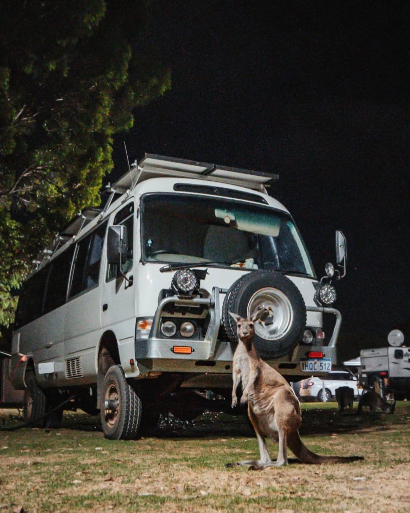 A kangaroo stands in front of a camper van at night in a Denmark caravan park, offering a classic Aussie wildlife encounter during a Perth to Bremer Bay road trip.