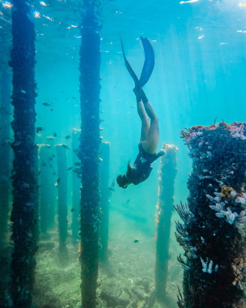 norkeller diving between jetty pylons at Busselton Jetty, surrounded by fish and underwater life, a unique experience on a Perth to Albany road trip.