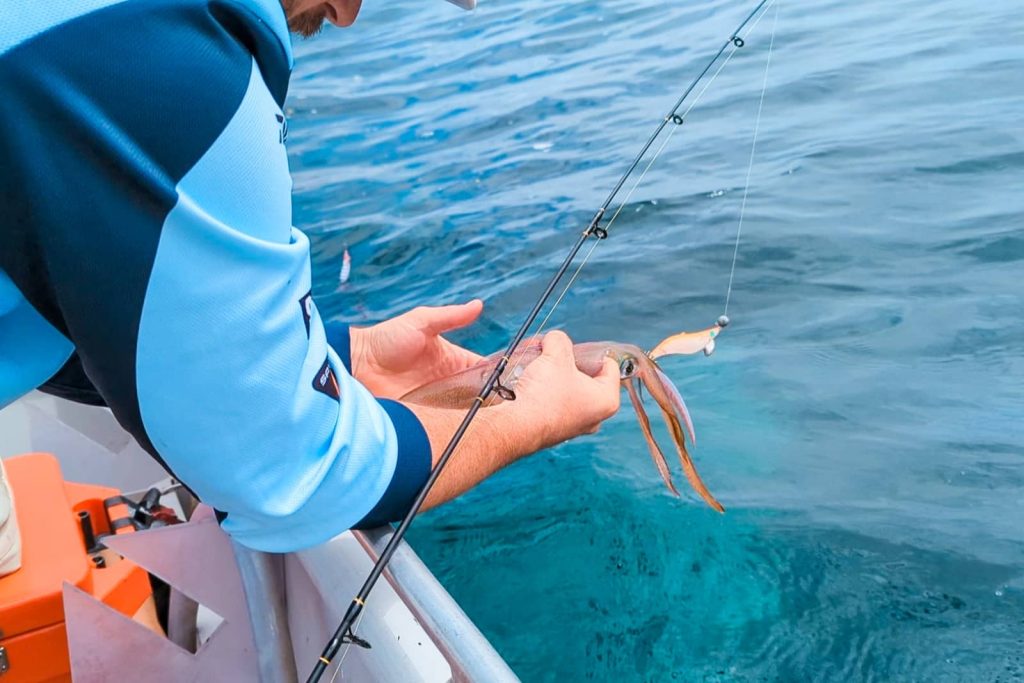 Close-up of a person holding a freshly caught squid on a fishing line while on a boat in Busselton, a popular activity on the Perth to Albany road trip.
