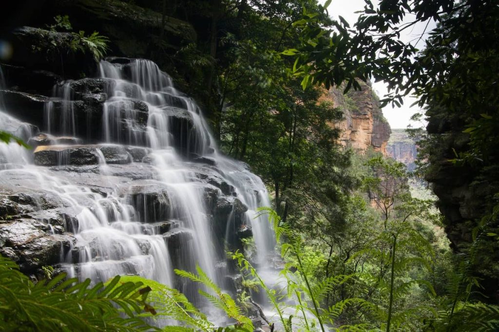 A tiered waterfall cascades over dark rock ledges surrounded by dense rainforest in the Blue Mountains, with sandstone cliffs visible in the distance.