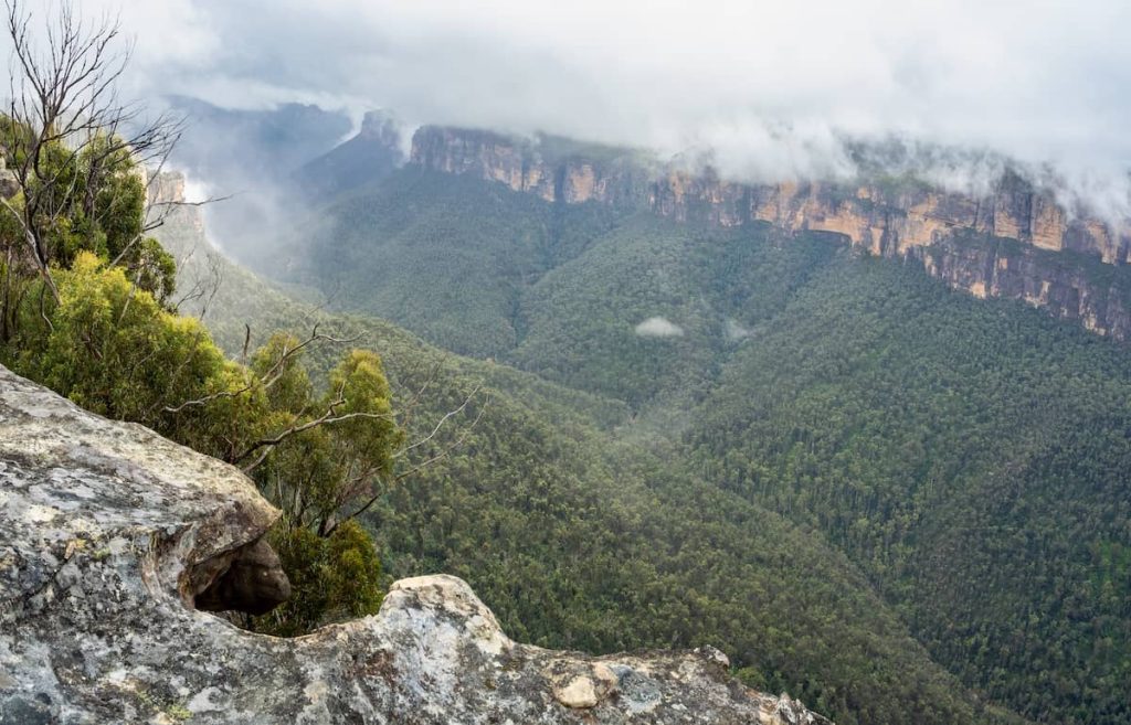 Misty valley view in the Blue Mountains, Australia, showing forested slopes, dramatic sandstone cliffs, and low cloud cover.