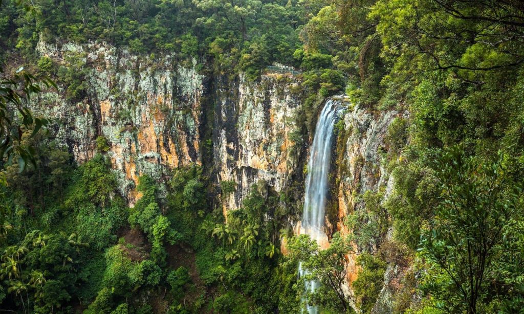A stunning view of Purlingbrook Falls cascading down a steep, rugged cliff covered in patches of greenery and lichen in the Gold Coast Hinterland. The waterfall flows powerfully from the top, surrounded by dense rainforest foliage. The dramatic rock formations and lush vegetation highlight the untouched beauty of this natural wonder.